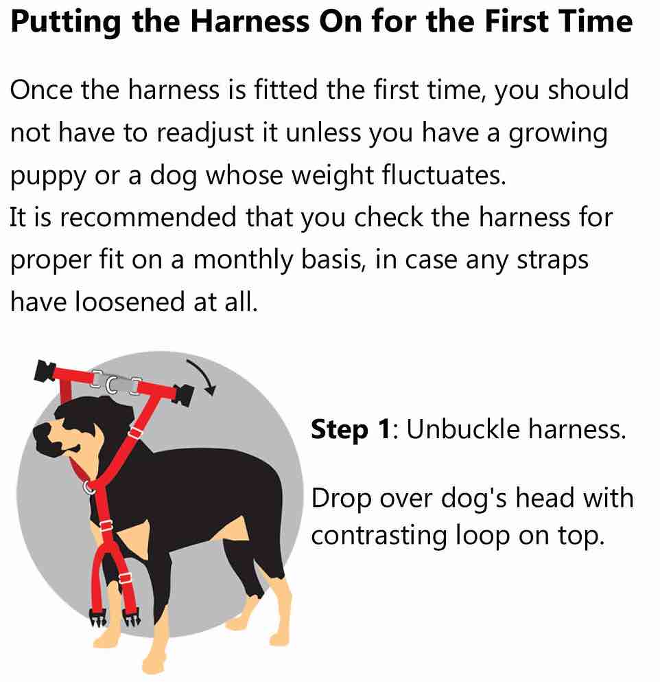 2 Hounds Design Freedom No-Pull Dog Harness & Leash - Purple/Black