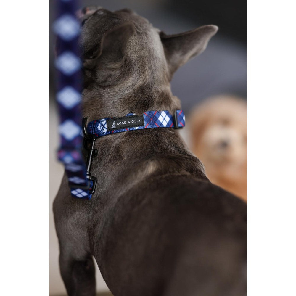 Boss & Olly Dog Collar (Nautical Plaids)