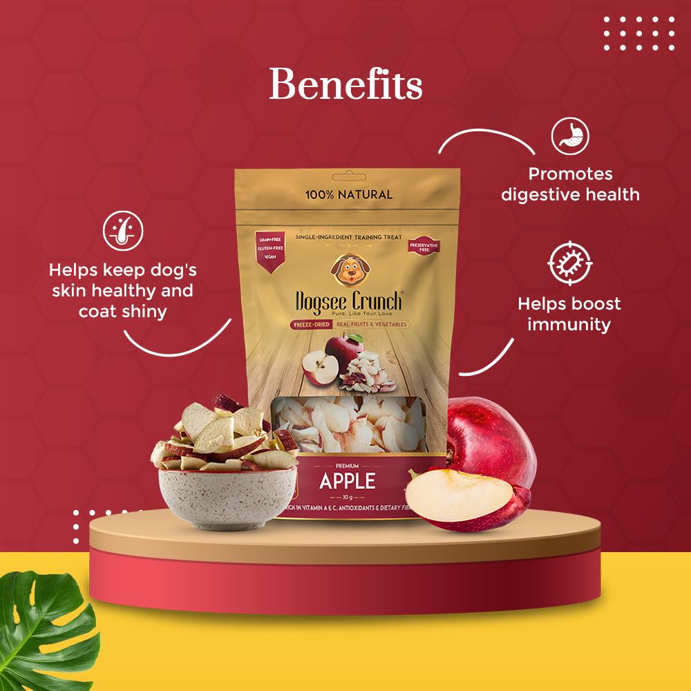 4 FOR $13: Dogsee Crunch Apple Freeze-Dried Dog Treats 10g