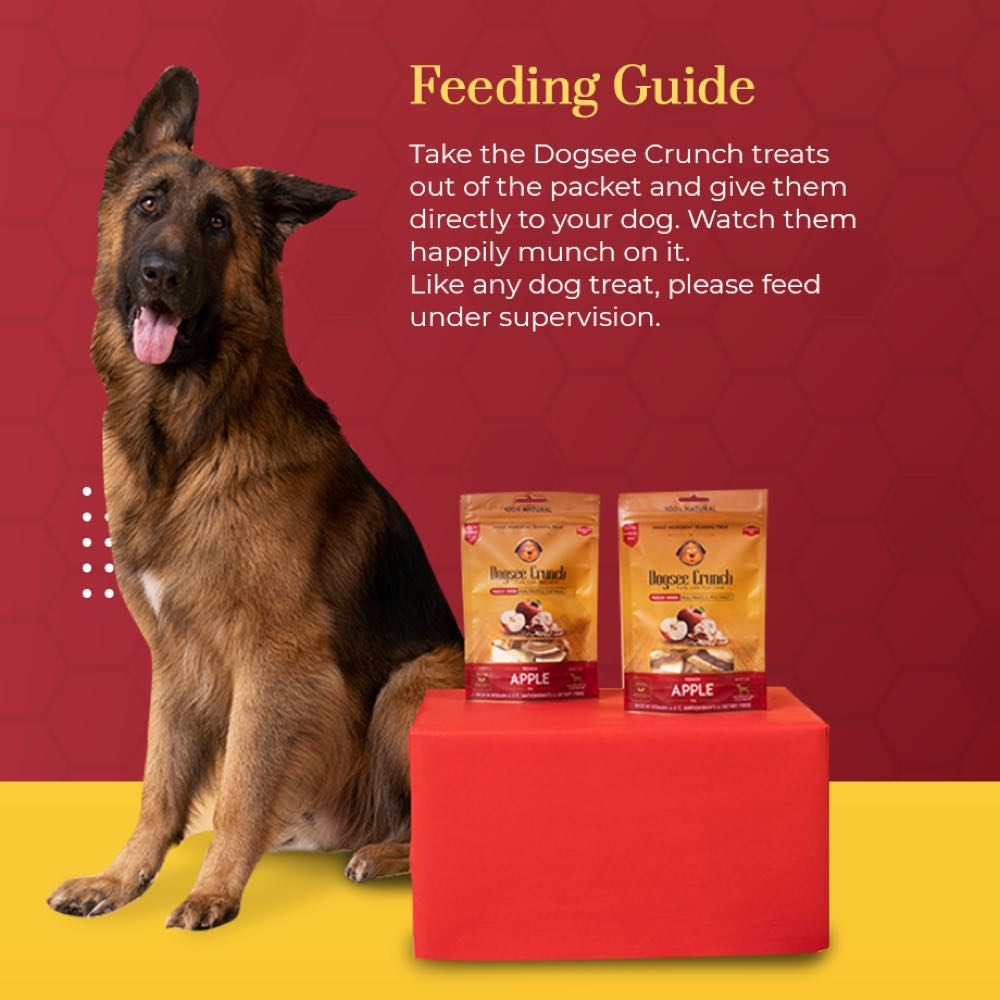 4 FOR $13: Dogsee Crunch Apple Freeze-Dried Dog Treats 10g