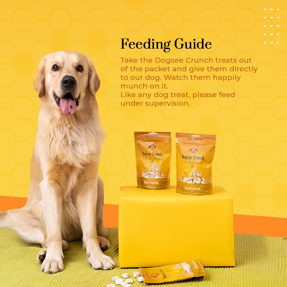 4 FOR $13: Dogsee Crunch Banana Freeze-Dried Dog Treats 15g
