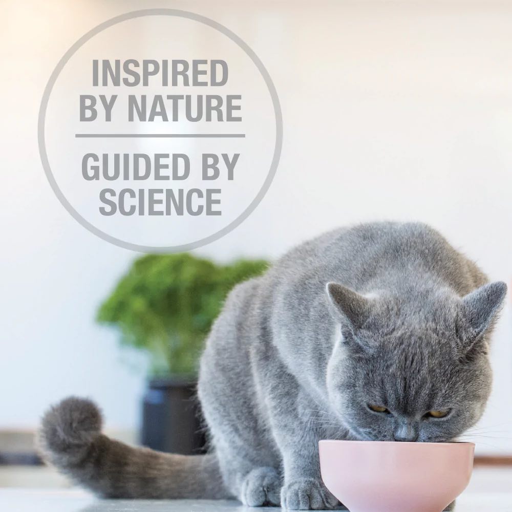 BUNDLE DEAL: Feline Natural Lamb Feast Freeze Dried Raw Cat Food 320g