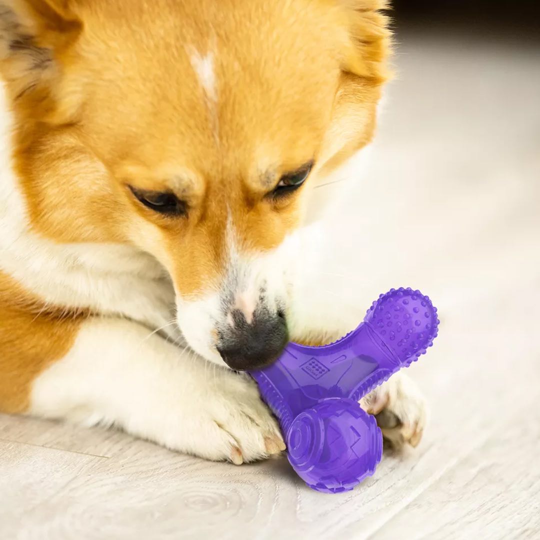 GiGwi Multi-Sounds Bone Dog Toy