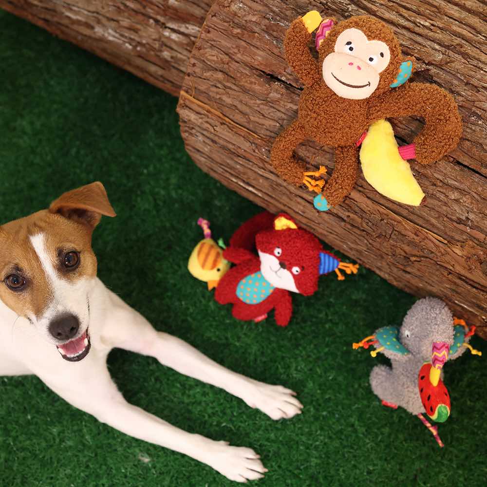GiGwi Plush Friendz Crinkly Dog Toy (Elephant)