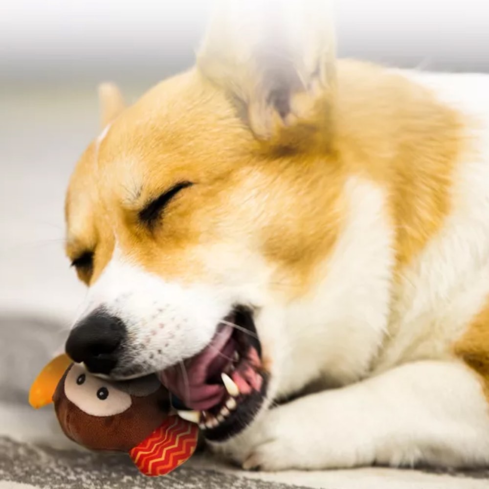 GiGwi Plush Friendz Tug Dog Toy (Monkey)