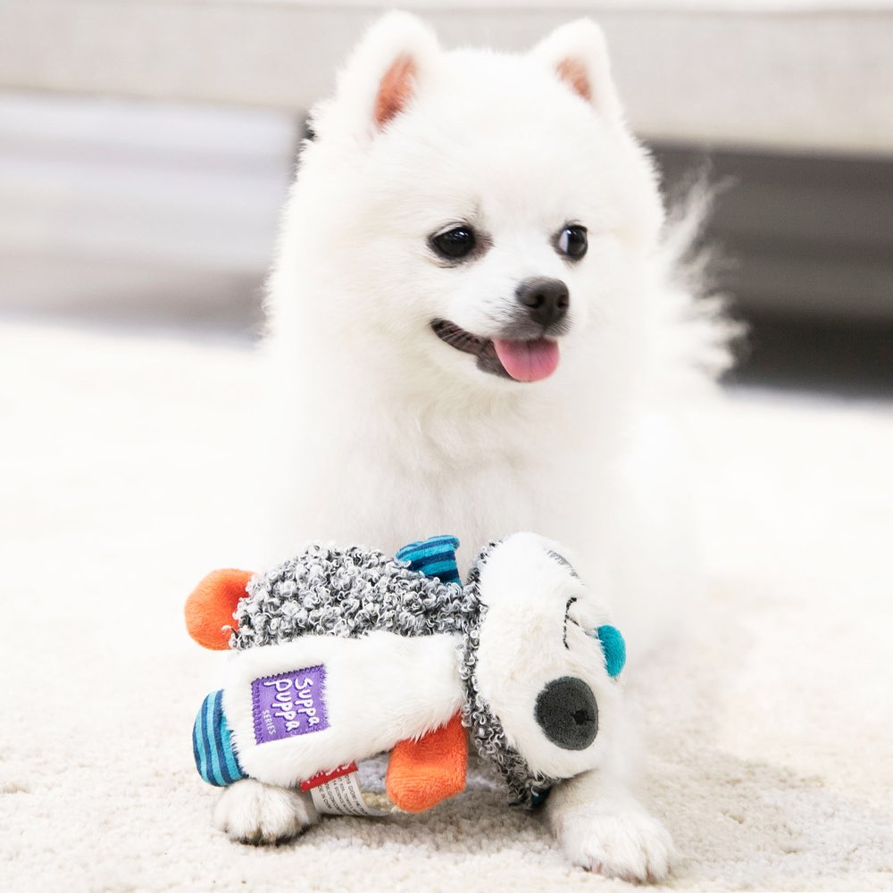 GiGwi Suppa Puppa Crinkly Plush Dog Toy (Racoon)