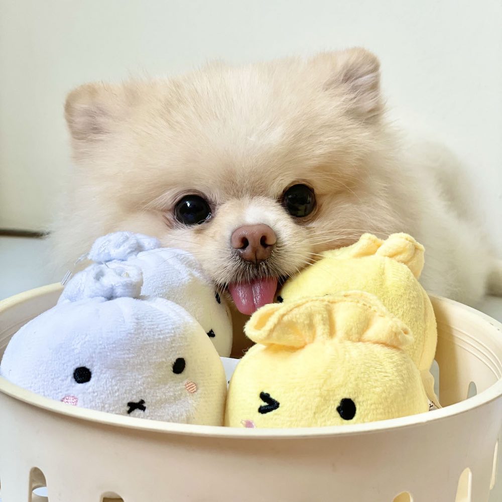 Hey Cuzzies Dimsum Mochi Plush Dog Toys